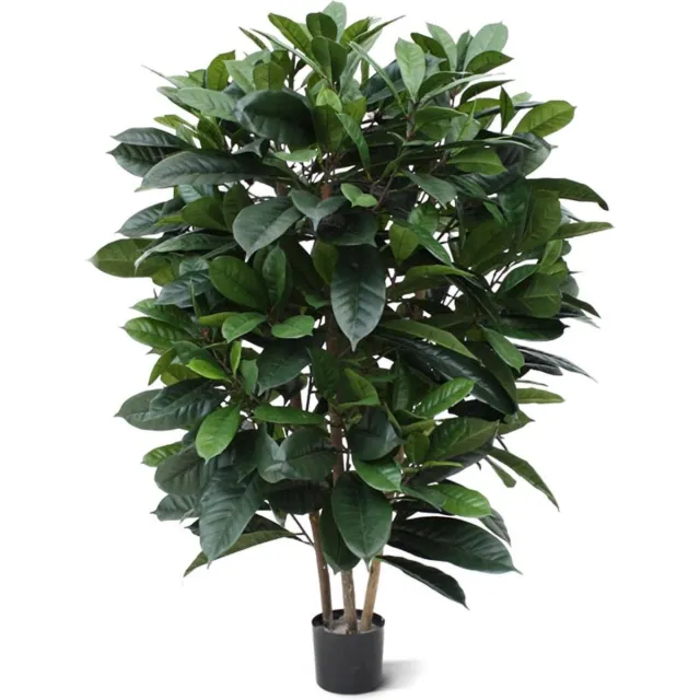 maxifleur Kunstplanten Ficus Cyathistipula deluxe kunstplant 120cm groen