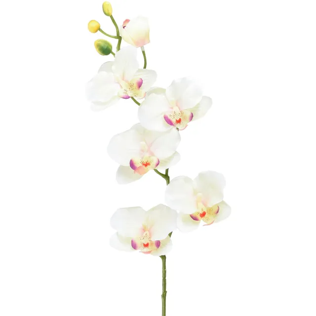 DPI GmbH Orchidee Phalaenopsis kunst 6 bloemen crème roze 70cm Wit