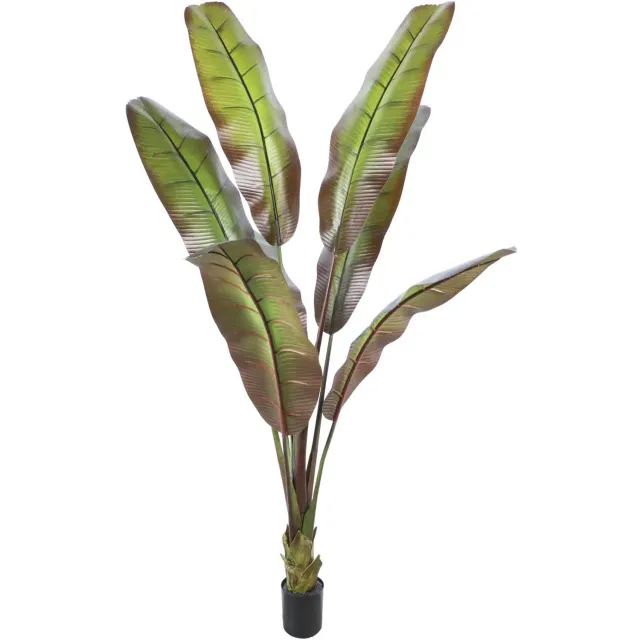 homebound by ky Kunstplant Japanse bananenboom 190cm | kunstplant | 190x190x190cm Groen