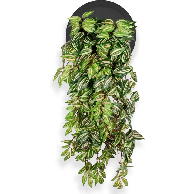 Kunstplant Tradescantia in Wally Ø30 cm zwart - HTT Decorations kunstplanten