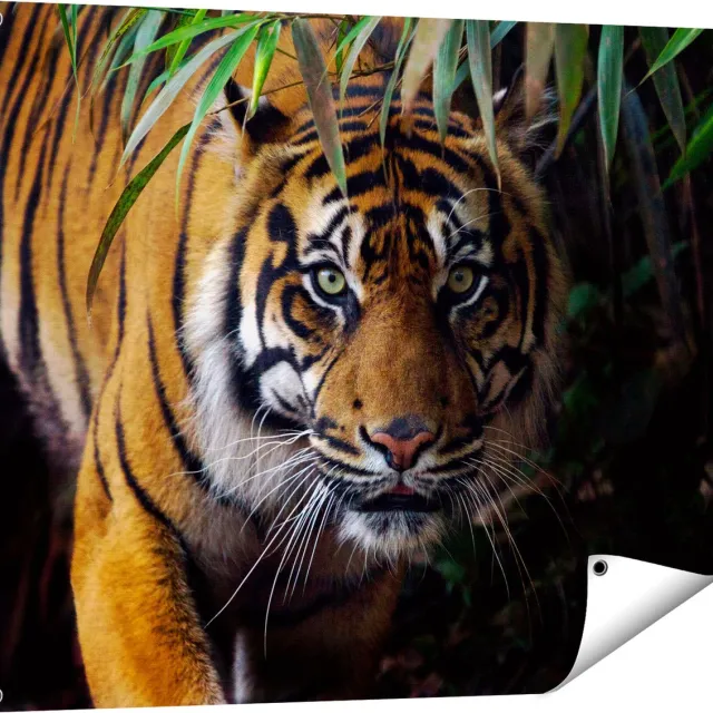 Gards Tuinposter Tijger in de Jungle - 100x80 cm - Tuindoek - Tuindecoratie - Wanddecoratie buiten - Tuinschilderij Multikleur