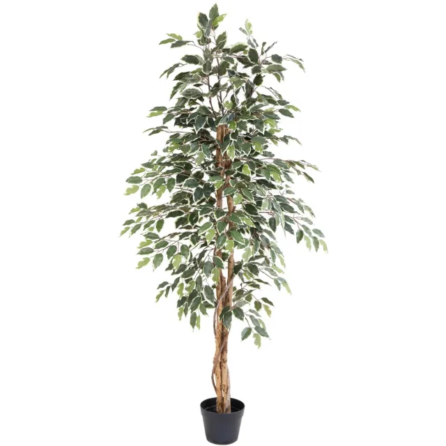 Florafy Kunstplant Ficus Benjamina Variegata 160cm - Kunstplanten voor binnen - Onderhoudsvrij Groen