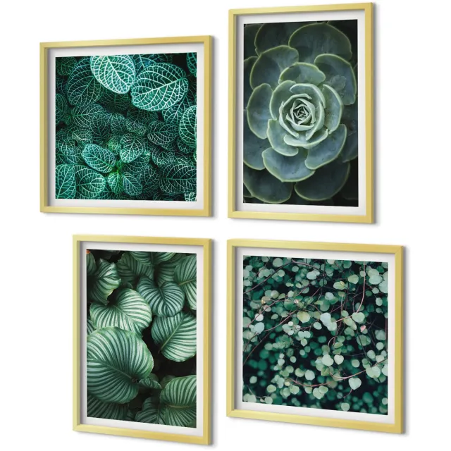 Coloray 4-Delige Schilderij Set - Groene bladplanten en stijlvolle vetplanten - 40 x 40 cm en 40 x 60 cm - Stijlvolle Muurdecoratie - Kantoor - Decoratieve Schilderijen Gouden lijst