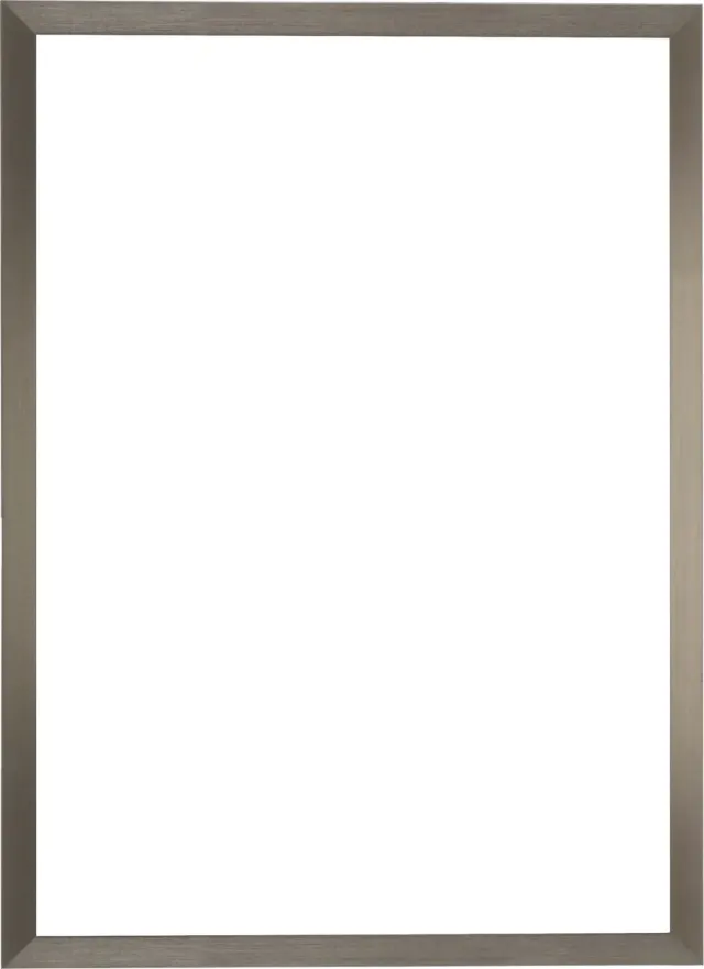 Deknudt Frames fotolijst voor canvas S46VD1 - zilverkleur - foto 50x70