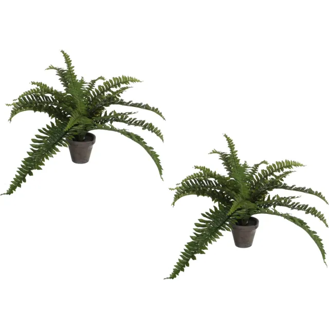 Mica Decorations Boston Varen kunstplant/kamerplant - 2x stuks - groen - in pot - H35 cm x D45 cm