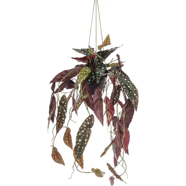 Emerald Kunst Hangplant in pot Begonia Maculata 80cm - Kunstplant voor binnen Groen