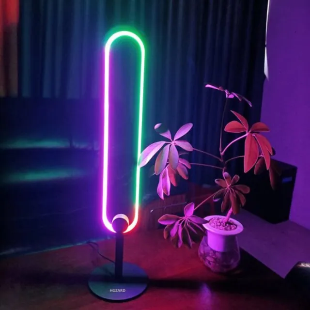 Hozard Moderne LED Vloerlamp Z2 Mini - Dimbare Staand Lamp + Bluetooth - Ovaal - Led Lamp - Staande lampen - RGB Smart Lamp - Zwart