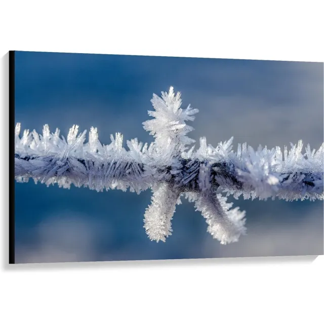 KuijsFotoprint Canvas - IJskristallen aan een Takje - 120x80cm Foto op Canvas Schilderij (Wanddecoratie op Canvas) Blauw