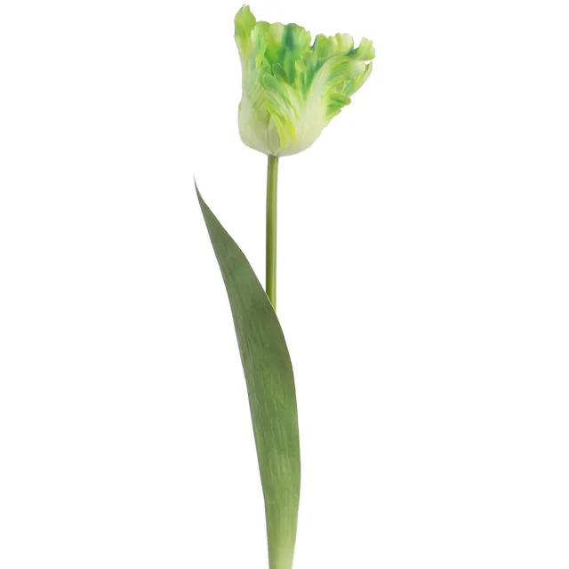 Clayre & Eef Kunstbloem Groen Kunststof