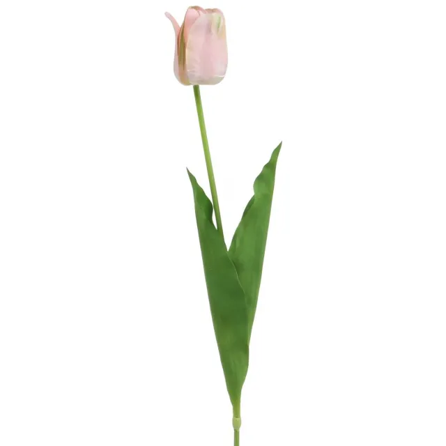 Viana Tulp roze bloemstengel H67cm