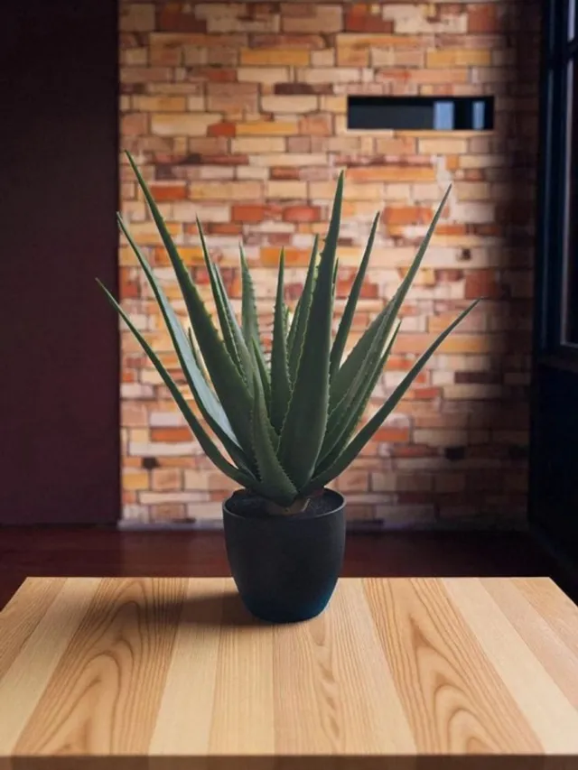 Flora Aloë Vera - kunstplant - zware kwaliteit - 67 cm hoog- plant met pot groen met zwarte pot