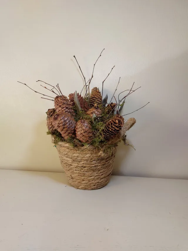 Juuls Gift Shop (merkloos) Mand met dennenappels & mos Naturel