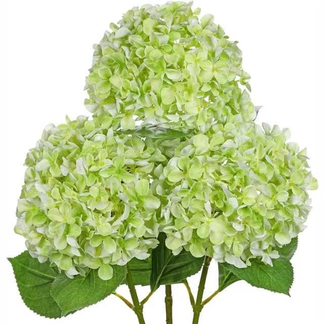 JGS Premium - 3-delige kunstmatige hortensia takken groene hortensia bloemen kunstbloemen zoals echte takken decoratie kunstbloem decoratie Any