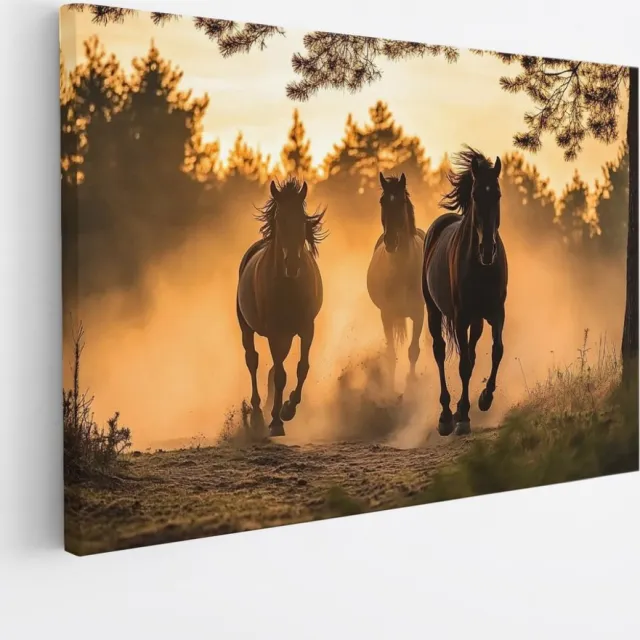 Saammp Canvas Schilderij - Rennende Paarden in het zand - Natuur - Dieren - 50x40 - Foto op canvas - Wanddecoratie - Muurdecoratie Woonkamer - Slaapkamer decoratie - Canvas Print Multicolor