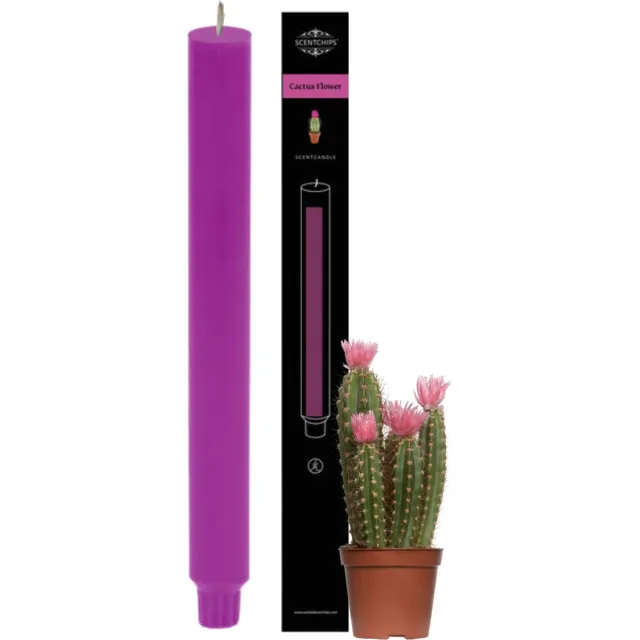 Scentchips Cactusbloem Geurkaars - Dinerkaars - Geurkaarsen - Geurkaarsen Geschenkset - Set van 2 - 25 Branduren