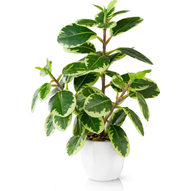 Ibenzoa Realistische Kunstbloem Camellia in Witte Keramische Pot - 29 cm groen