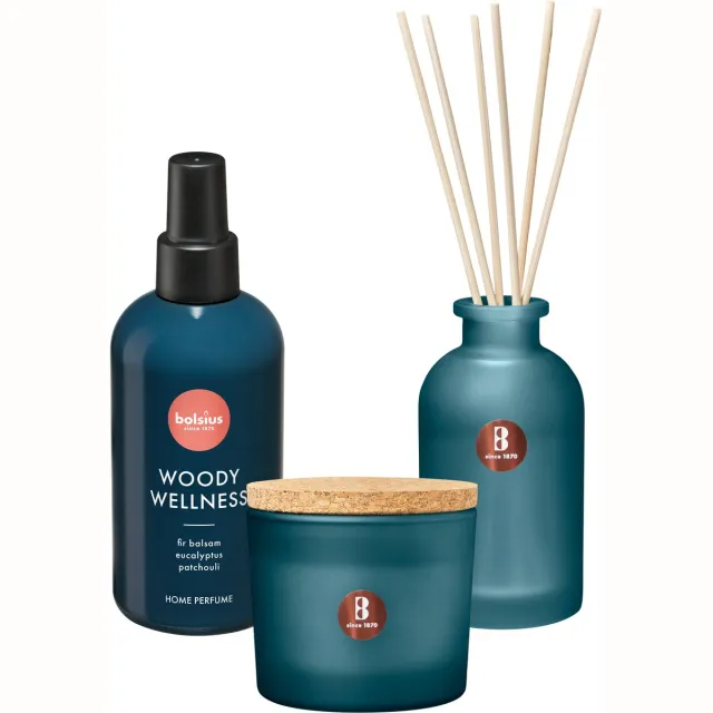 Bolsius True Joy set - Geurkaars - Geurstokjes - Huisparfum - Woody Wellness