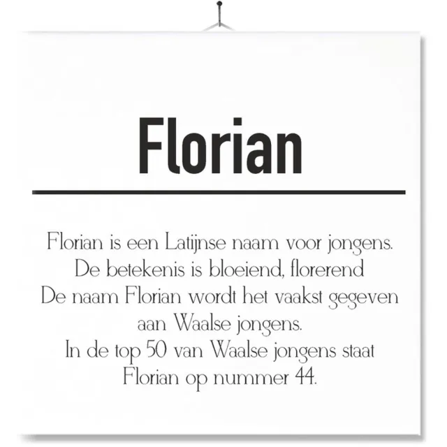 MC Living Tegel Met Opdruk | Betekenis | Kado | Cadeau | Met Naam - Florian Multi-Color