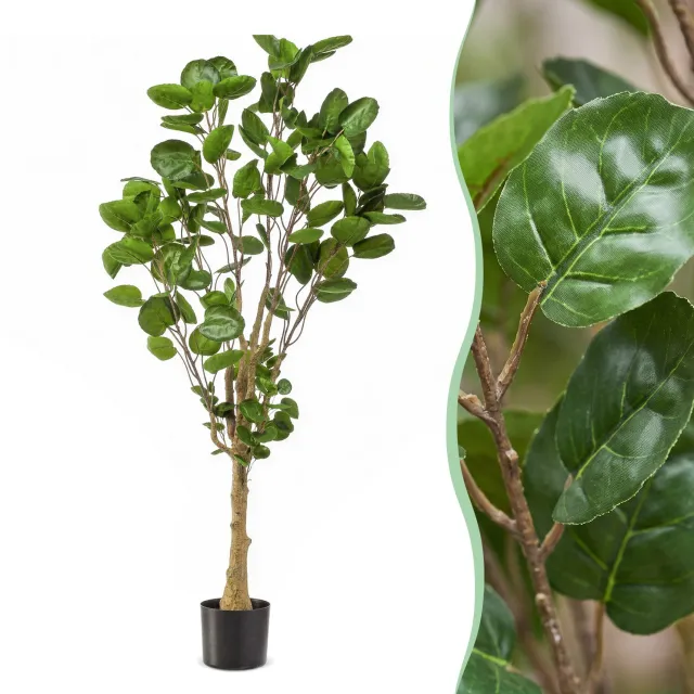 Green Harmony Plants Kunstplant - Polyscias - Aralia - 150 cm Bruin