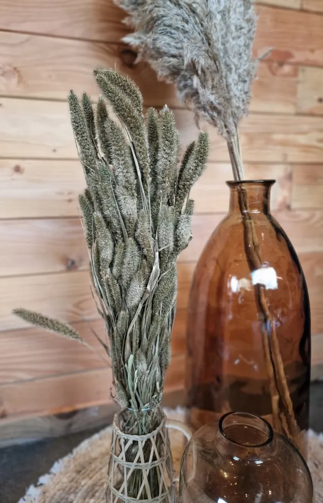 Wonders at Home Official Bundel Gedroogde Pampas Goudkleurig - 80 cm - Gold - Goud - Pampasgras – Pampas Pluimen - Droog Boeket - Natural Zwart