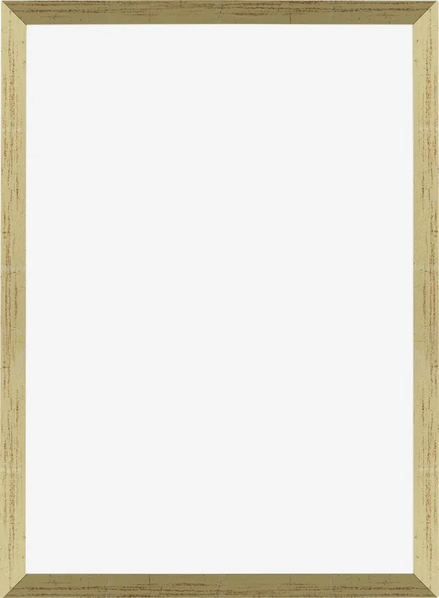 Dutch Frame Factory Fotolijst 25x35 cm - MDF - Goud Glans - Marseille