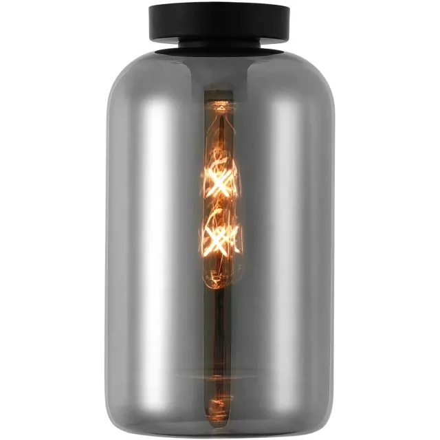 Artdelight Plafondlamp Botany Ø 18 cm rook glas zwart