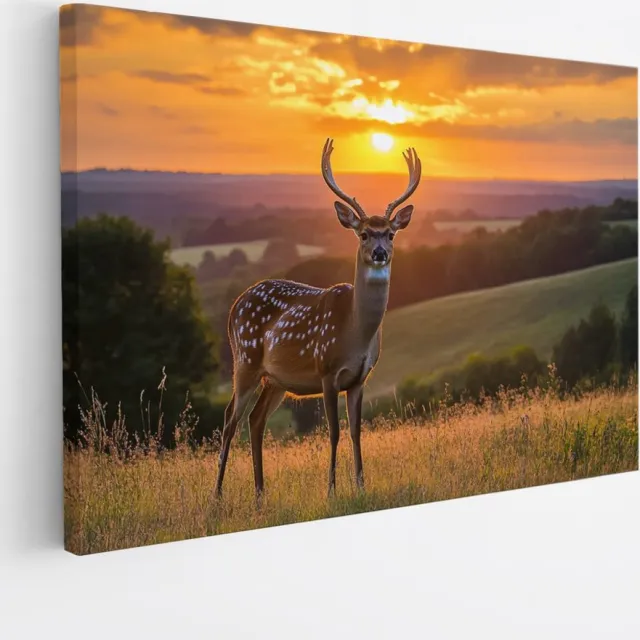 Saammp Canvas Schilderij - Hert in zonsopgang tussen de heuvels - Natuur - Dieren - 100x75 - Foto op canvas - Wanddecoratie - Muurdecoratie Woonkamer - Slaapkamer decoratie - Canvas Print Multicolor