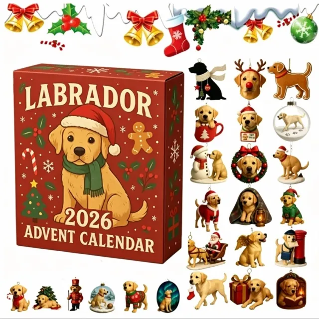 Sanorum 2026 Nieuwste 24-Daagse Aftelkalender Hangers - Acryl Charms met Handgemaakte Uitstraling - Dagelijkse Verrassing & Feestelijke Sfeer - Perfect Cadeau Zoals in de figuur wordt getoond