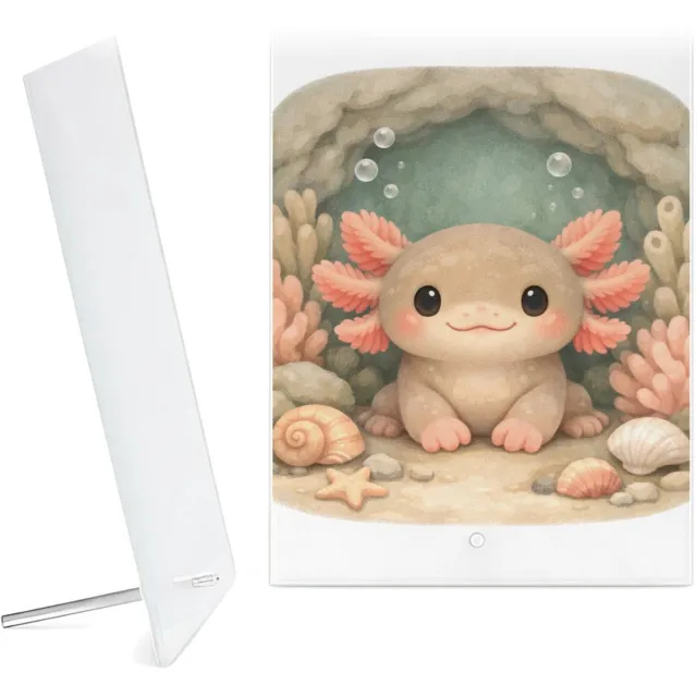 Mr Cadeautjes Glazen fotopaneel Een frontaal afgebeeld onderwaterdiertje in een zachte koraa - 15 x 20 cm, staand - glas, decoratie, wanddecoratie | cadeau Wit