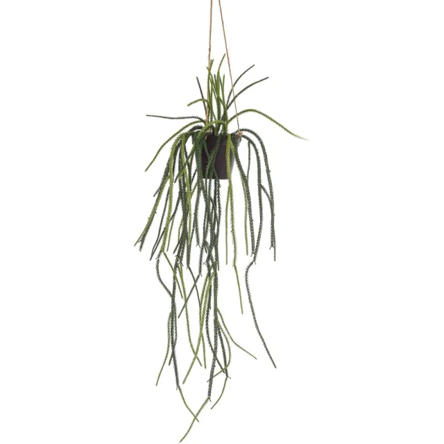 Emerald Kunst Hangplant in pot Rhypsalis 85cm - Kunstplant voor binnen Groen