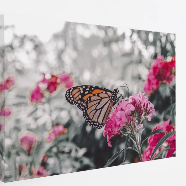 Saammp Canvas Schilderij - Vlinder bij Roze Bloemen - Dieren - Natuur - 100x75 - Foto op canvas - Wanddecoratie - muurdecoratie Woonkamer - Slaapkamer decoratie - Canvas Print Multicolor