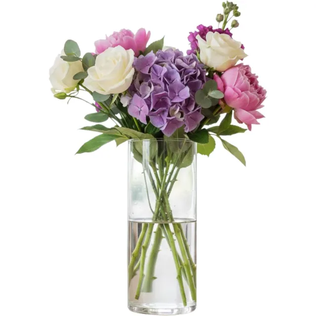 Mica Decorations Vaas - cilinder - helder glas - D9 x H24 cm - Bloemenvaas Transparant