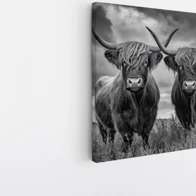 Saammp Canvas Schilderij - 2 Schotse Hooglander Koeien in een storm - Natuur - Dieren - 20x20 - Foto op canvas - Wanddecoratie - Muurdecoratie Woonkamer - Slaapkamer decoratie - Canvas Print Multicolor