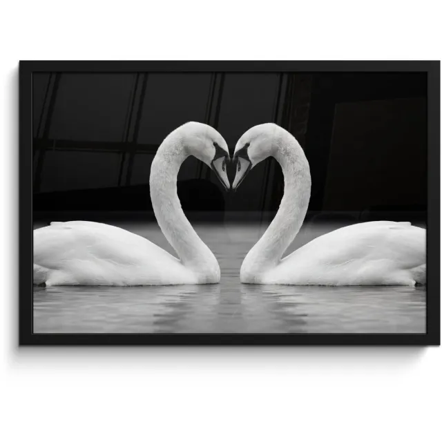 FrameYourWall Poster in lijst - Fotolijst 60x40 cm - Posters - Zwanen - Hart - Zwart - Wit - Posterlijst zwart - Decoratie - Wanddecoratie woonkamer - Muurdecoratie slaapkamer