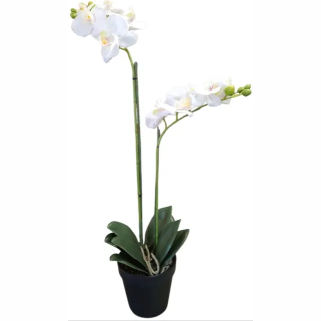 Mica Decorations kunstplant Phalaenopsis Orchidee wit H67cm D25cm