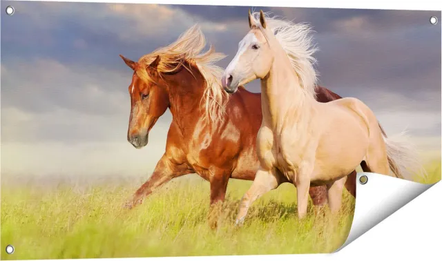 Gards Tuinposter Bruin en Wit Paard in de Wei - 100x50 cm - Tuindoek - Tuindecoratie - Wanddecoratie buiten - Tuinschilderij Multikleur