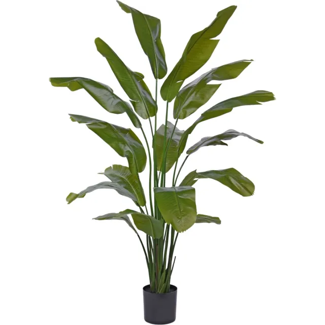 maxifleur Kunstplanten Traveller Palm promo 190cm Groen