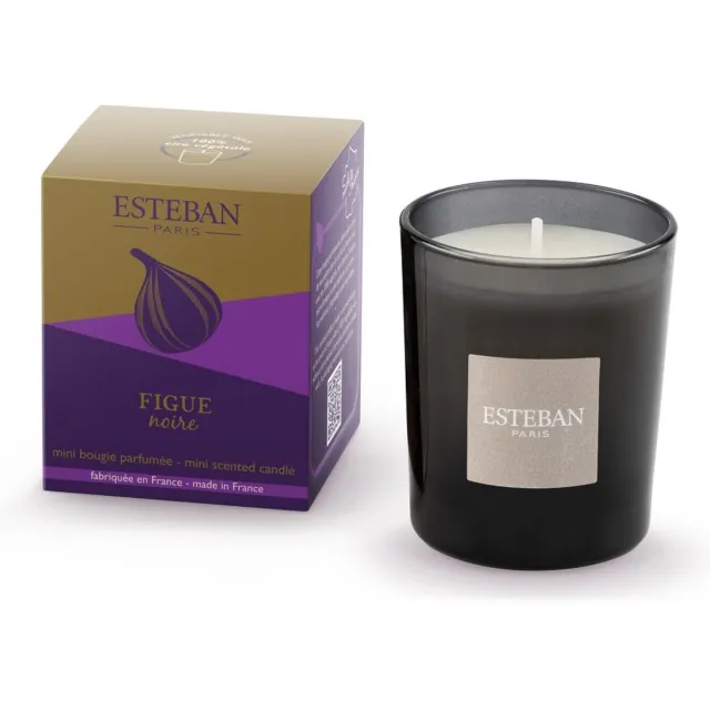 Esteban Classic Figue Noire Geurkaars Mini 70 gr Antraciet