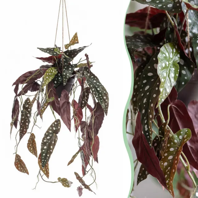 Green Harmony Plants Kunstplant - Begonia Maculata - Stippenbegonia - 80 cm Groen