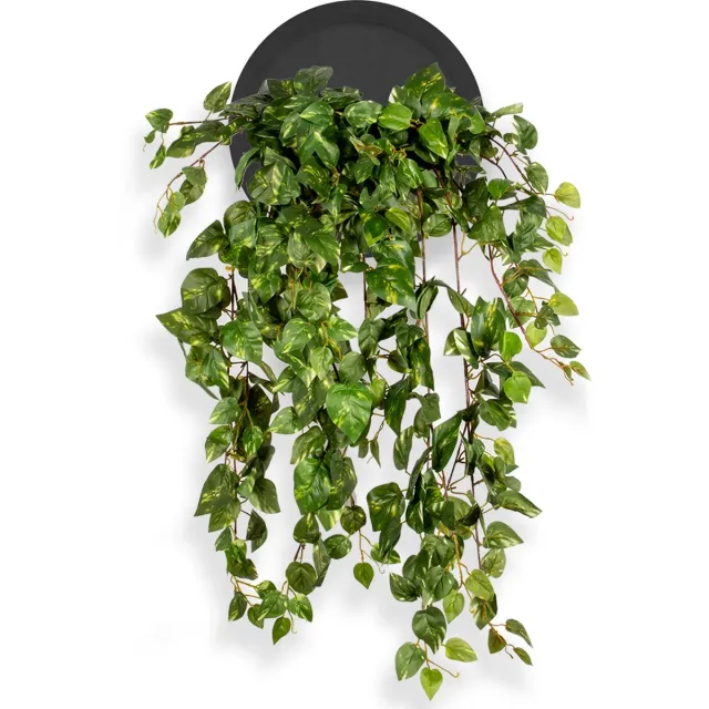 HTT Decorations Kunstplant Scindapsus in Wally Ø30 cm zwart - HTT Decorations kunstplanten