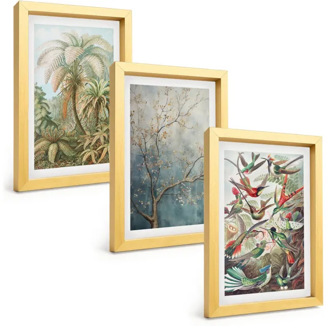 TULUP 4-Delige Schilderij Set - Tropische planten en kleurrijke vogels in de natuur - 20 x 30 cm - Wanddecoratie - Muurdecoratie - Woonkamer - Interieur Decoratie Gouden lijst