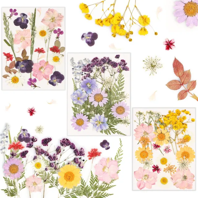 Famanu Natuurlijke gedroogde bloemen en bladeren in verpakking van 66 stuks voor DIY projecten