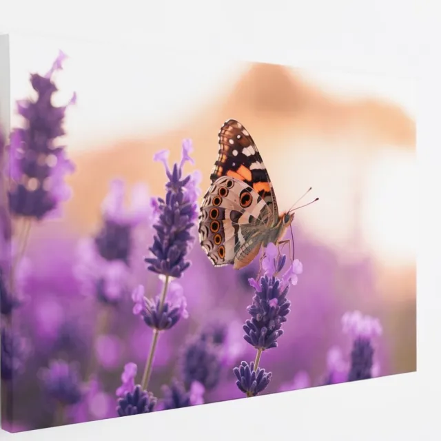 Saammp Canvas Schilderij - Vlinder bij lavendel - Bloemen - Dieren - Natuur - 100x75 - Foto op canvas - Wanddecoratie - muurdecoratie Woonkamer - Slaapkamer decoratie - Canvas Print Multicolor