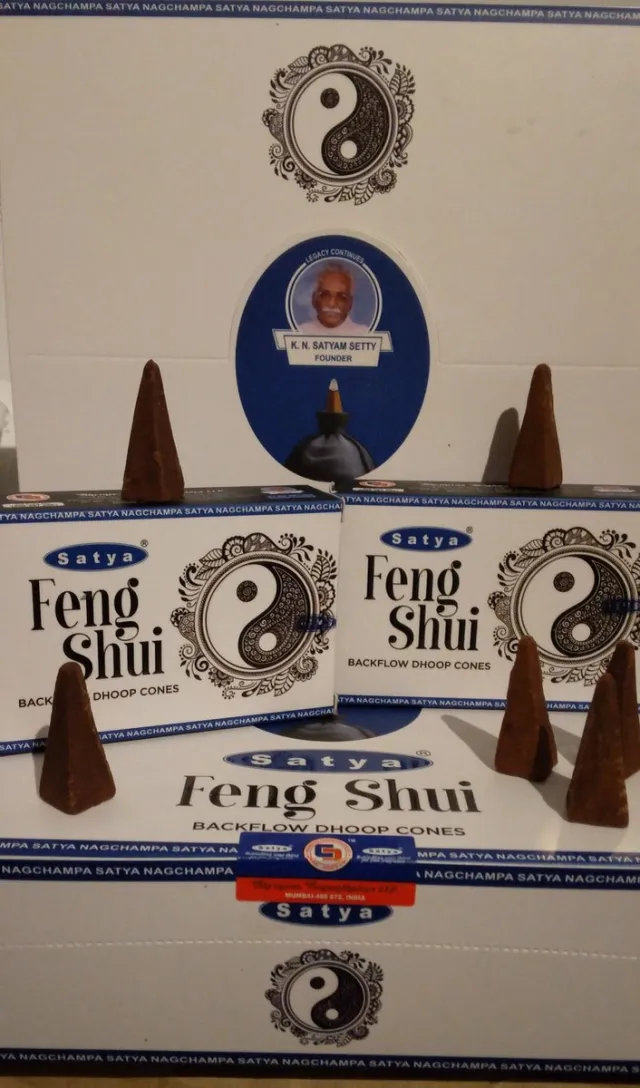 Satya Backflow Dhoop Cones Feng Shui Wierook Kegels 10 Stuks 1 pakje