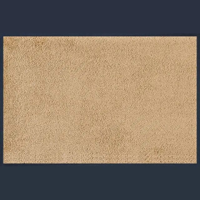 Famanu Wasbare deurmat, Sahara, 40 x 60 cm, voor binnen en buiten, beige Transparant