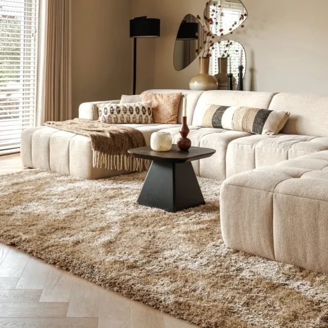Tapeso Shaggy vloerkleed - Meadow beige 160x240