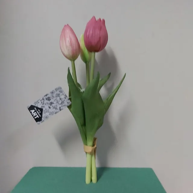 Nova Nature Holland tulp bundel Sally x3 25cm roze