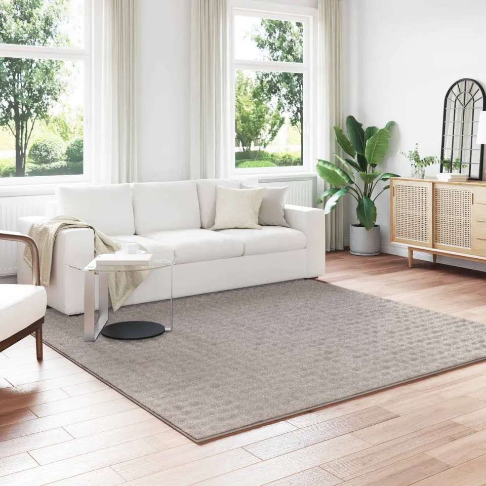 vidaXL Vloerkleden Vierkant SIROLO Zand Polyester, foto 5