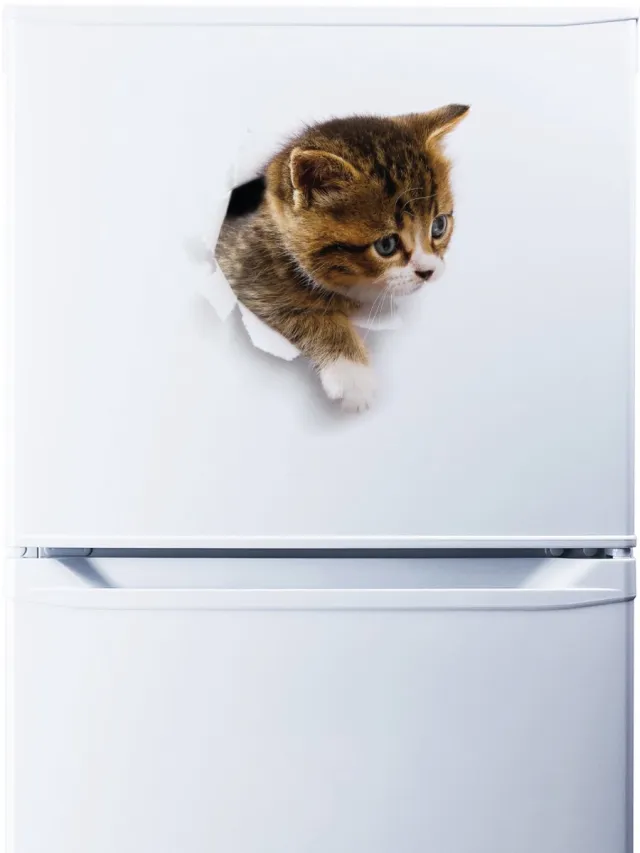 Ambiance Sticker Sticker van een kat die in zijn schuilplaats zit te mijmeren, 65 x 65 cm Multi color