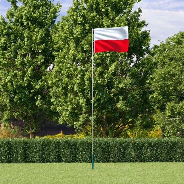 vidaXL Vlag met vlaggenmast Polen 5,5 m aluminium Meerkleurig
